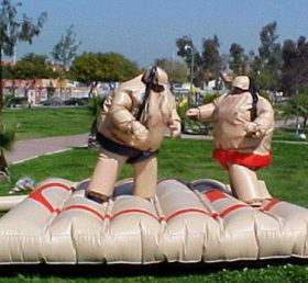 T11-125 Boxing Sumo Set
