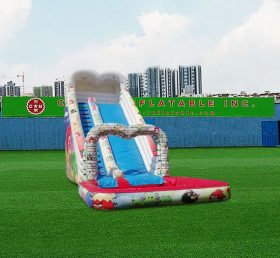 T8-4246 Angry Birds Slide and Pool
